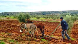 تقرير يرصد مخاطر مناخية مادية تحوم حول الاقتصاد المغربي