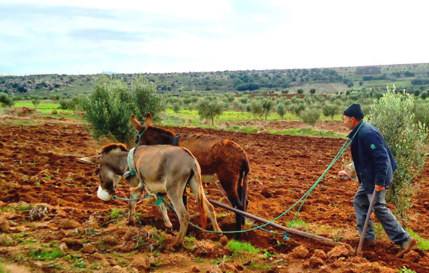 تقرير يرصد مخاطر مناخية مادية تحوم حول الاقتصاد المغربي