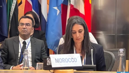 وزيرة الاقتصاد تبرز بواشنطن أجندة إصلاحات المغرب