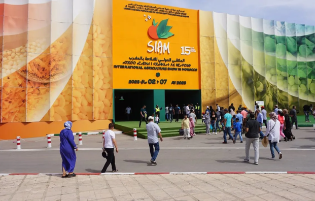 المعرض الدولي للفلاحة بمكناس يتوقع 900 ألف زائر في 2024