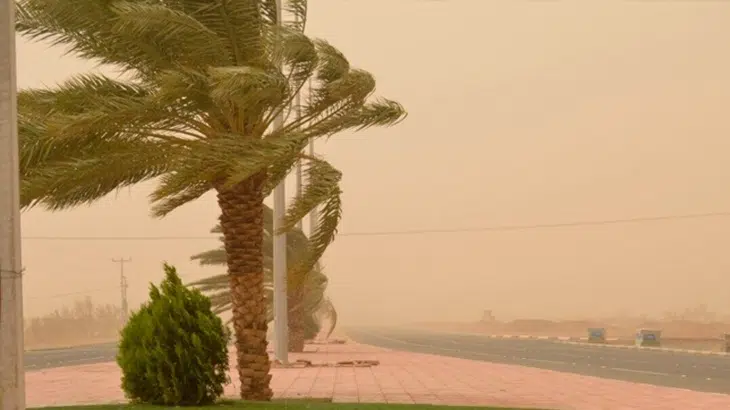 نشرة إنذارية.. زخات رعدية ورياح ببعض مدن المغرب