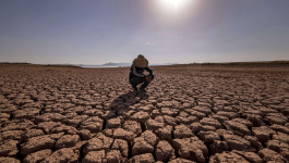 التقلبات المناخية الحادة تستنزف قطاعات حيوية بالمغرب