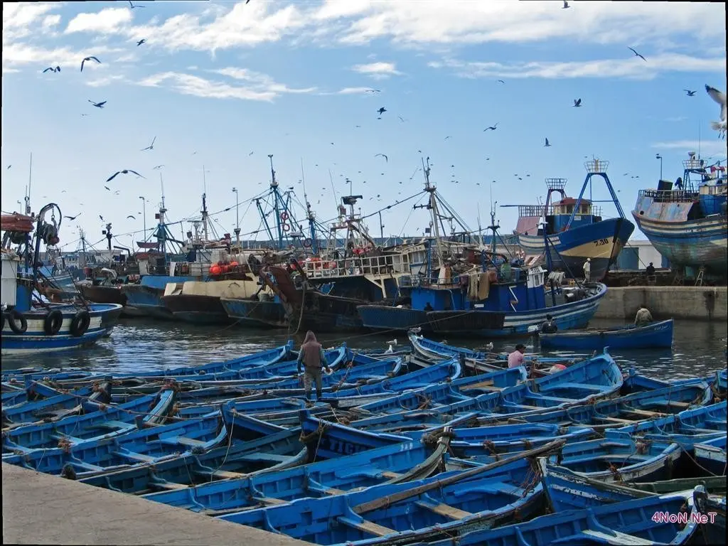 تراجع مفرغات الصيد بـ23% بميناء بوجدور