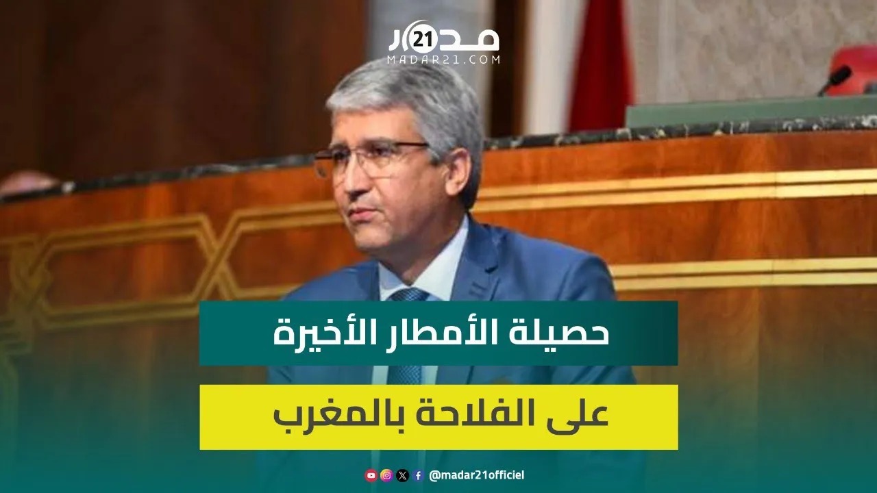 صديقي: التساقطات المطرية بلغت 233 ملم وبدء صرف تعويضات التأمين الفلاحي من الأسبوع المقبل
