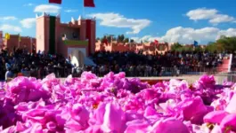 من قلعة مكونة إلى باريس.. الورد المغربي ينافس في سوق التجميل العالمي
