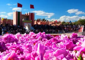 من قلعة مكونة إلى باريس.. الورد المغربي ينافس في سوق التجميل العالمي