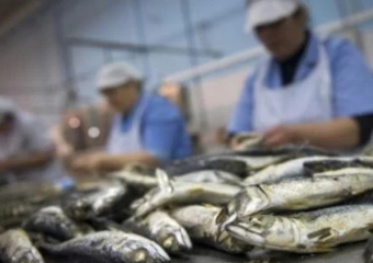 وفاة عامل بوحدة لتصبير السمك بآسفي يعيد مطالب السلامة المهنية للواجهة