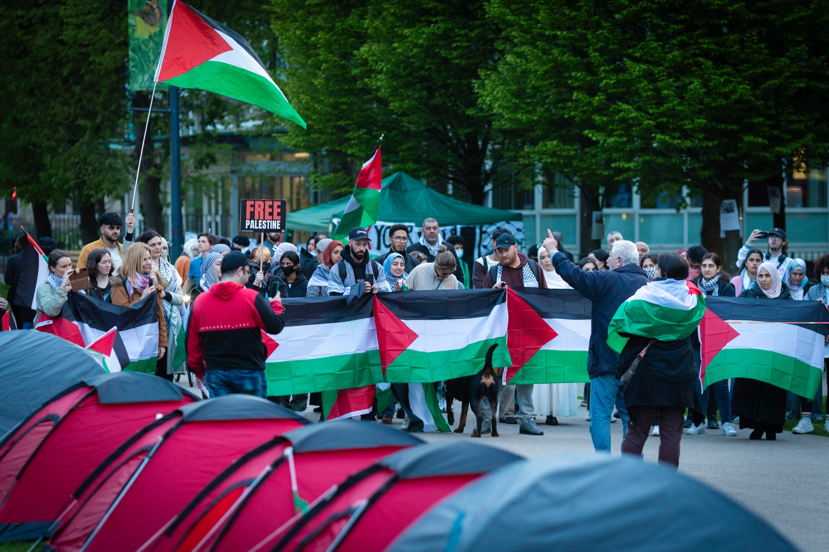 حراك الجامعات الأمريكية.. آفاق استراتيجية للقضية الفلسطينية