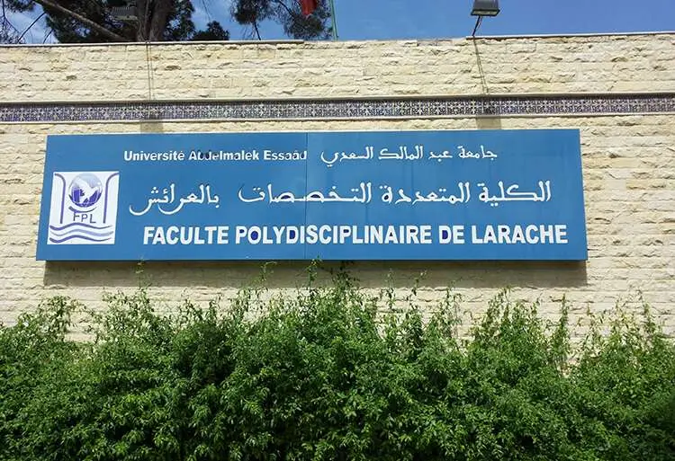 خبراء يناقشون دور أنظمة المعلومات بإدارة المالية العامة