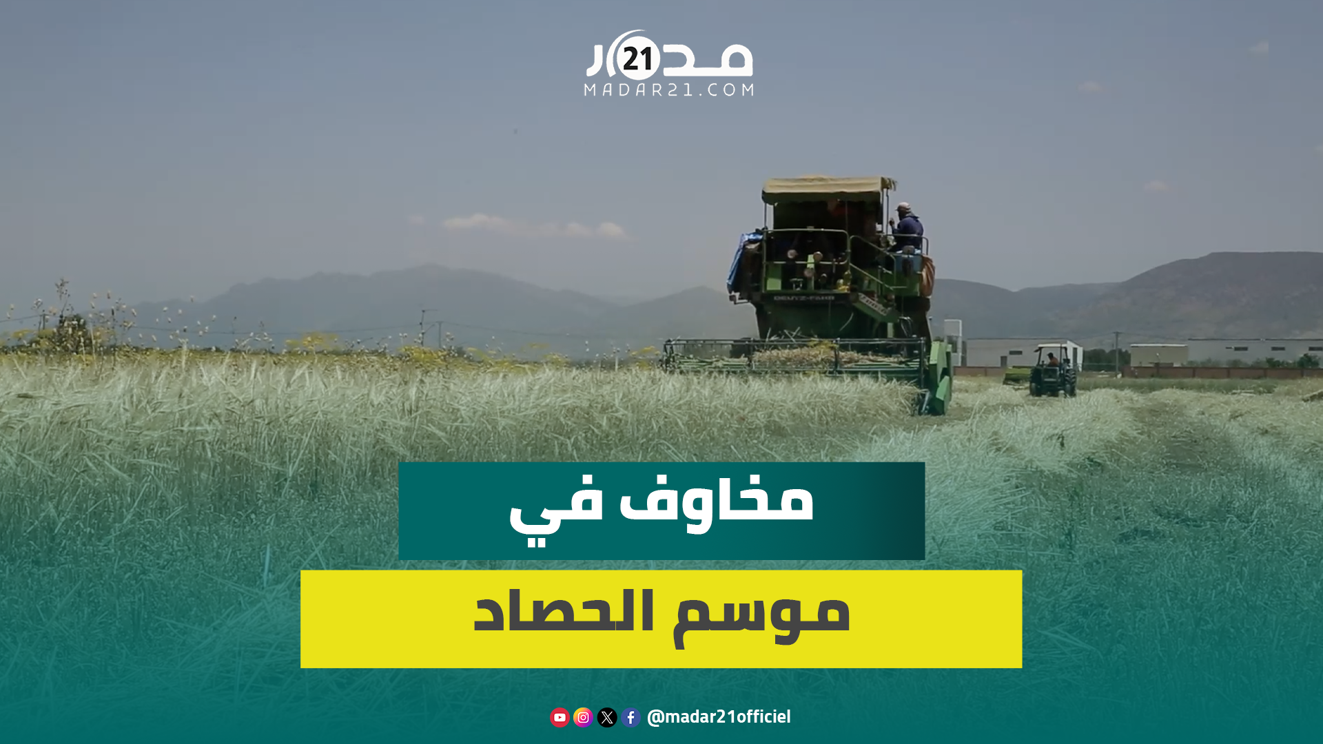 موسم الحصاد ببني ملال.. الجفاف يقلص الإنتاج للنصف وفلاحون يتذمرون من غلاء تكاليف المبيدات والأسمدة