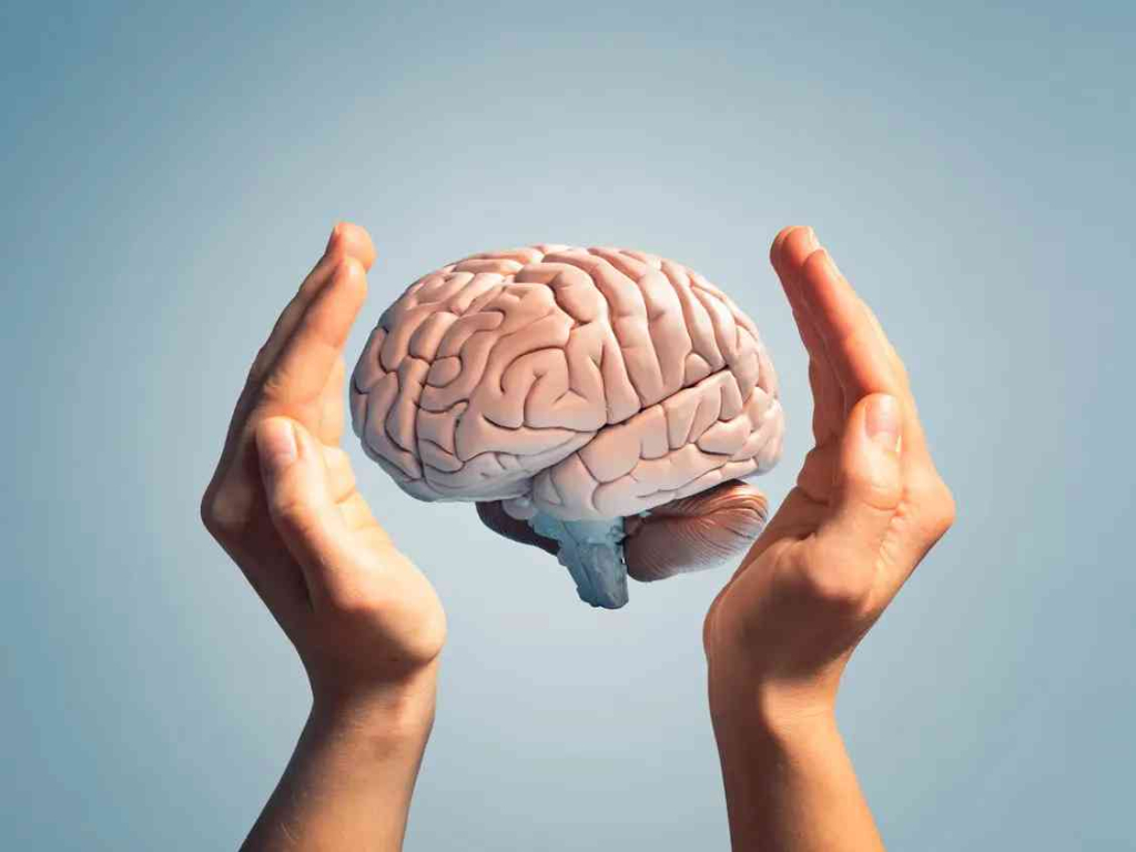 دراسة حديثة تكشف عوامل تأخر شيخوخة الدماغ