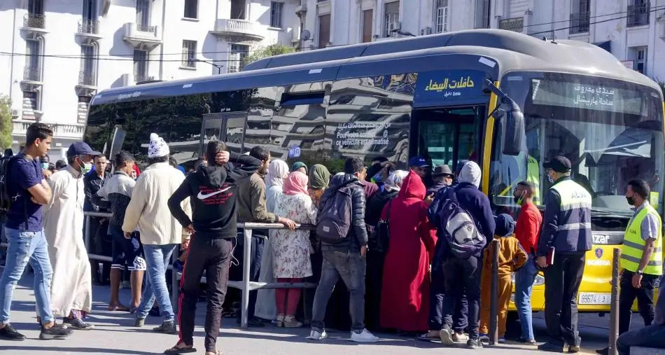 النقل.. مطالب برلمانية بدعمٍ مباشر لفائدة الأجراء والمتقاعدين والطلبة