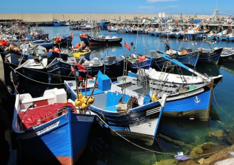 انخفاض مفرغات الصيد البحري بـ9% بميناء الناظور