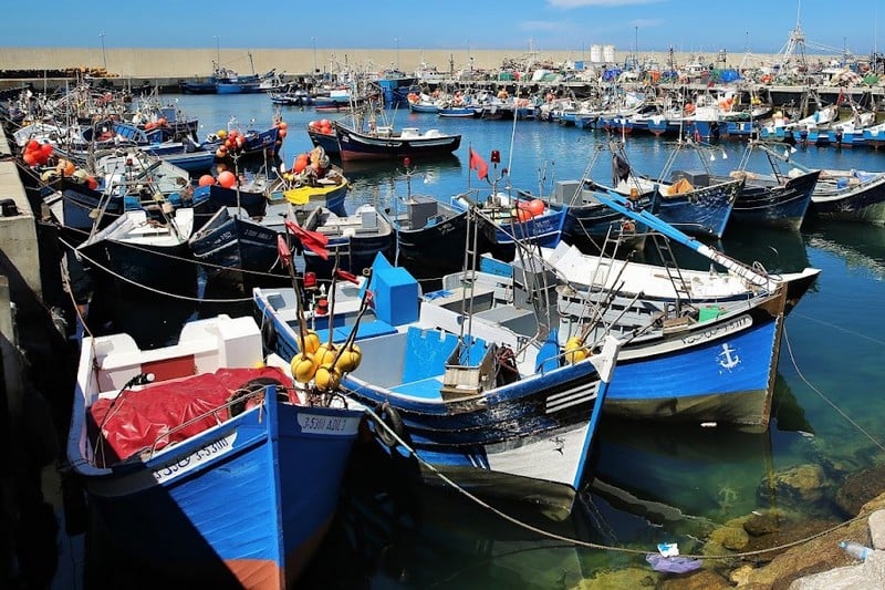 انخفاض مفرغات الصيد البحري بـ9% بميناء الناظور