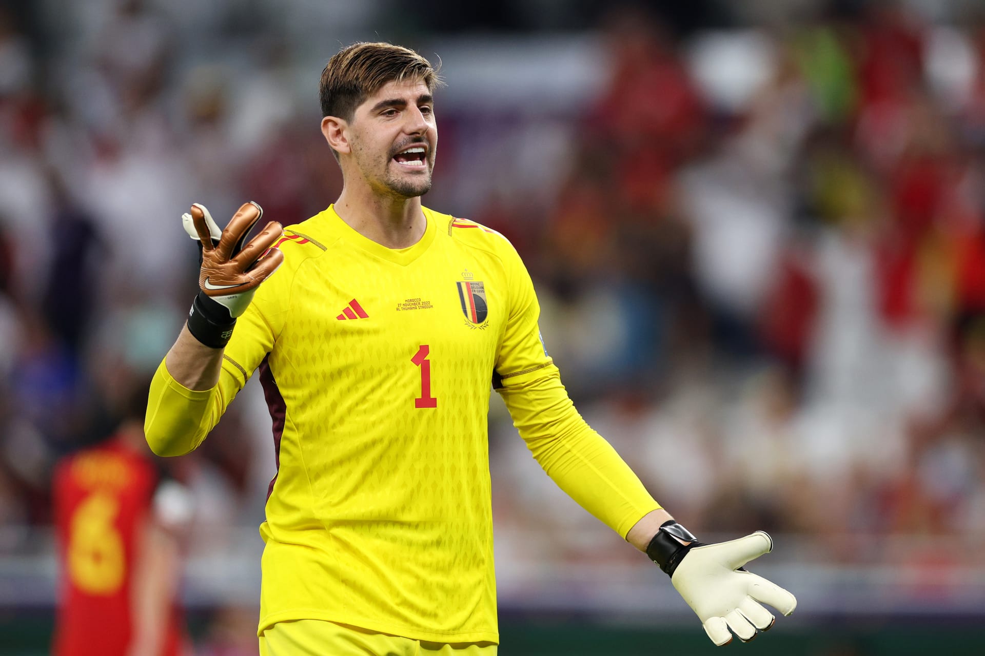 استبعاد كورتوا من قائمة بلجيكا في “يورو 2024”