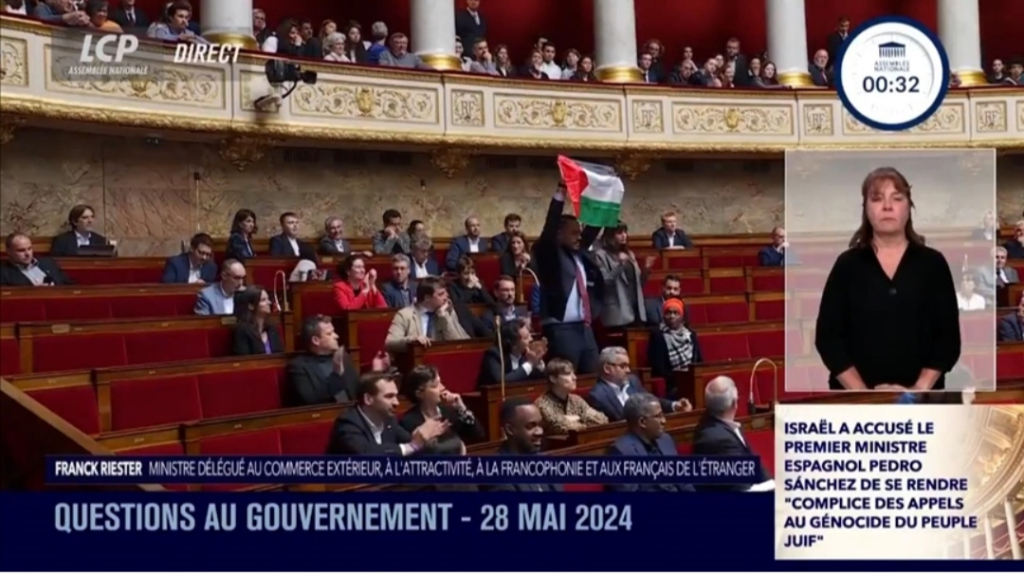 إبعاد نائب رفع العلم الفلسطيني بالبرلمان الفرنسي