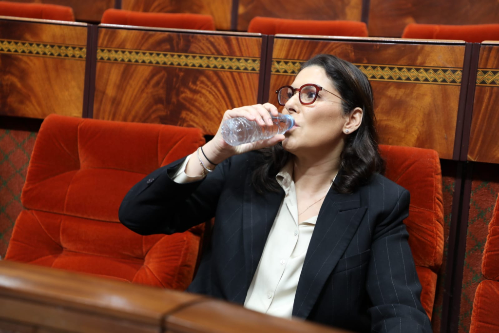 المنصوري: لقجع معنا منذ مدة وصحتي العقلية تسمح لي برئاسة الحكومة