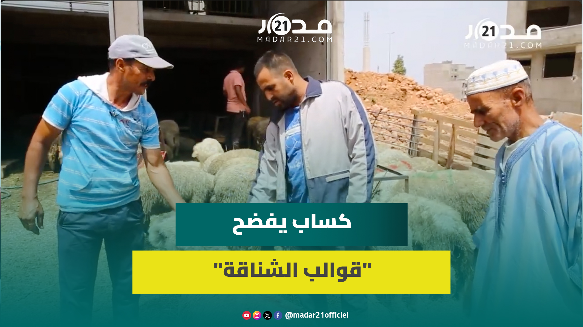 كساب يفضح “قوالب الشناقة” في بيع أضاحي العيد ويقدم نصائح مهمة لاختيار الكبش المناسب