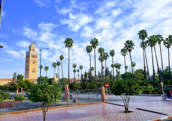 انعقاد المؤتمر المغربي الأول لطب الرئة التداخلي  بمراكش