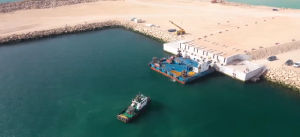 الداخلة.. رفع الحظر عن جمع وتسويق الصدفيات بعدة مناطق
