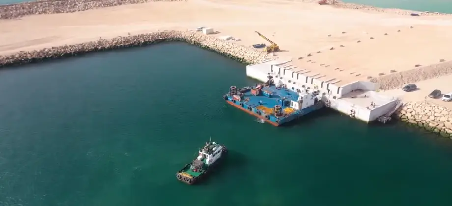 الداخلة.. رفع الحظر عن جمع وتسويق الصدفيات بعدة مناطق