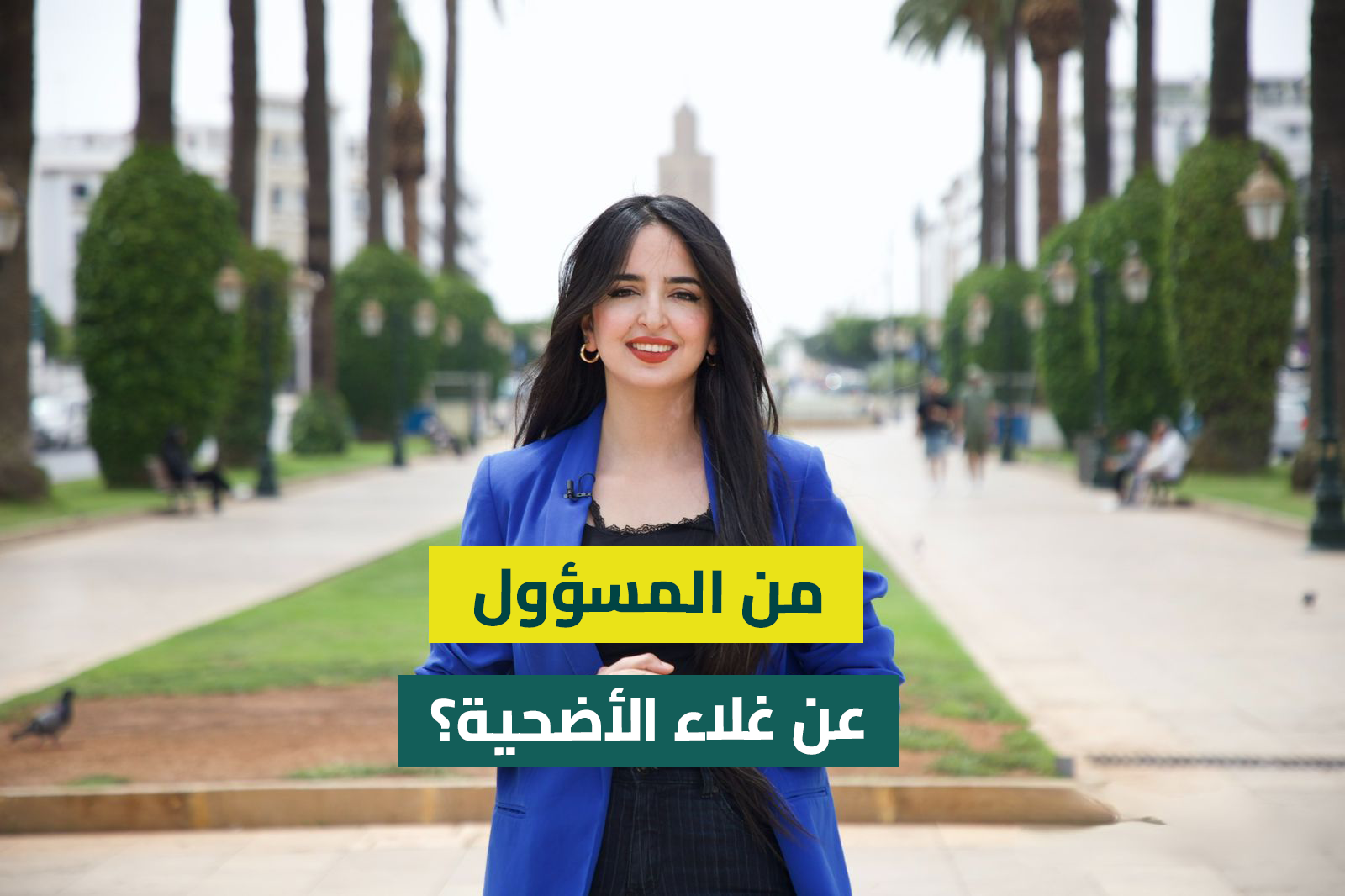 روبورتاج: من المسؤول عن غلاء أضحية العيد؟