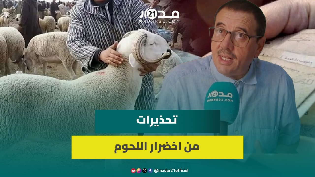 شروط اقتناء الأضحية/ غلاء الأضاحي/إخضرار اللحوم.. حماية المستهلك توصي بشأن شروط السلامة الصحية