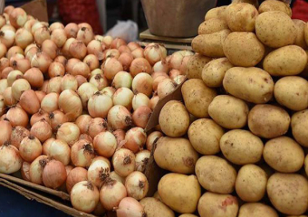 رخص استثنائية لتصدير البطاطس والبصل لأوروبا وإفريقيا