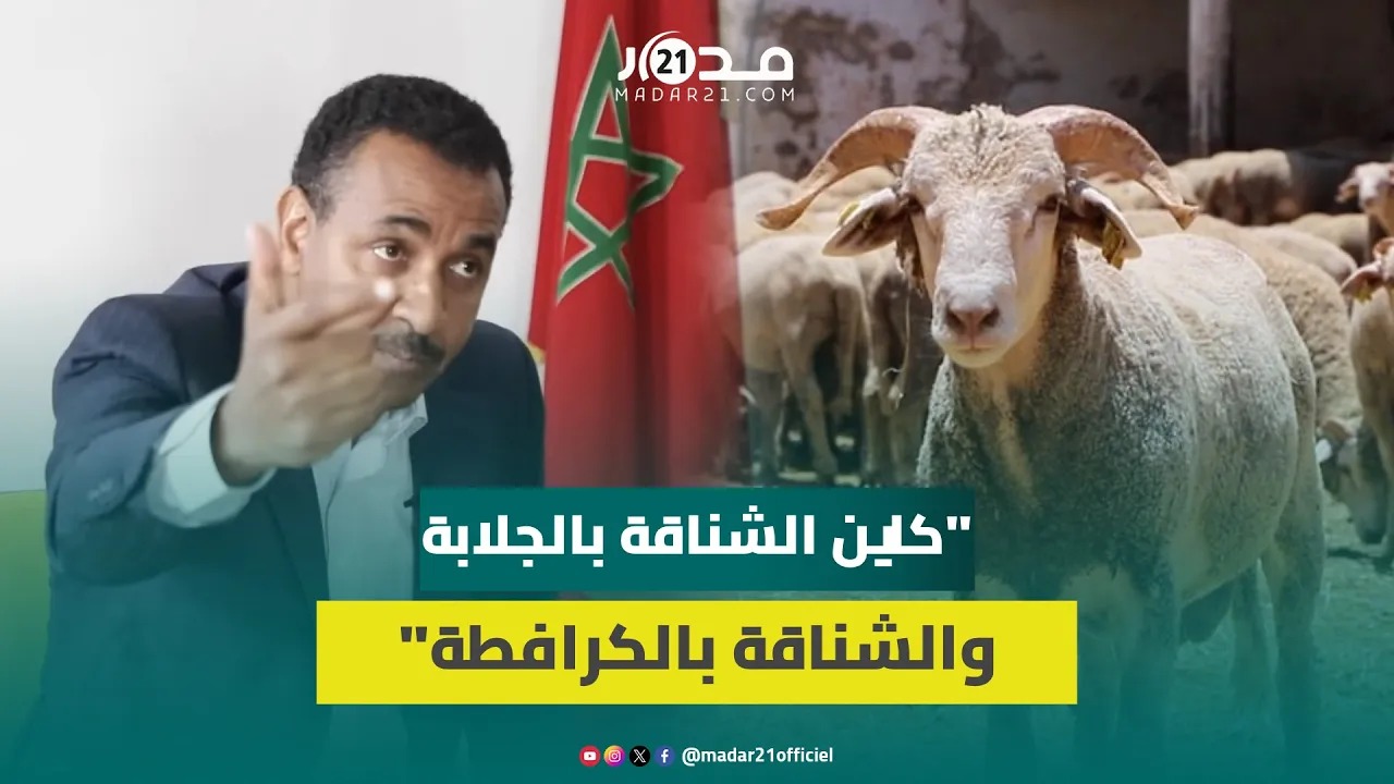 غلاء الأضاحي..شهيد: استيراد الأغنام ليس استثنائيا والحكومة تختبئ وراء “الشناقة”لتبرير ارتفاع الأسعار