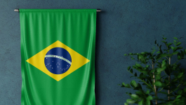البرازيل.. جدل حول مشروع قانون يساوي بين الإجهاض والقتل