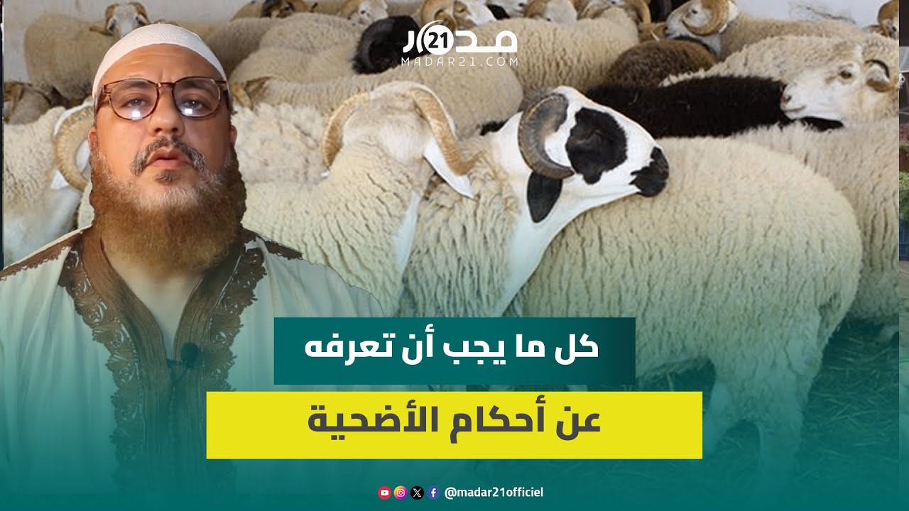 أحكام الأضحية.. دكتور في الدراسات الإسلامية يجيب عن الأسئلة الشائعة