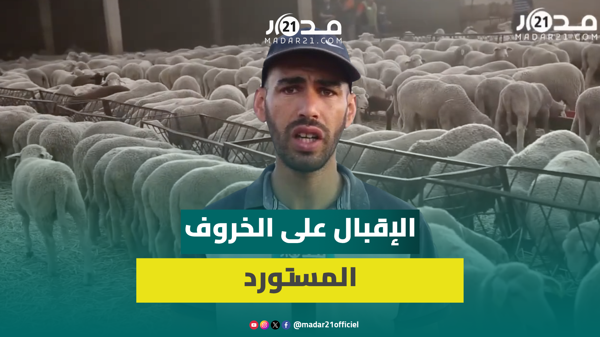 إقبال كبير على الخروف الإسباني المستورد وفلاح: الناس تسنات السوق طيح والثمن ما بين 1700 و2300 درهم