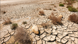 توعية بأهمية التدبير المستدام للأراضي في اليوم العالمي لمكافحة التصحر والجفاف