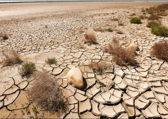 توعية بأهمية التدبير المستدام للأراضي في اليوم العالمي لمكافحة التصحر والجفاف