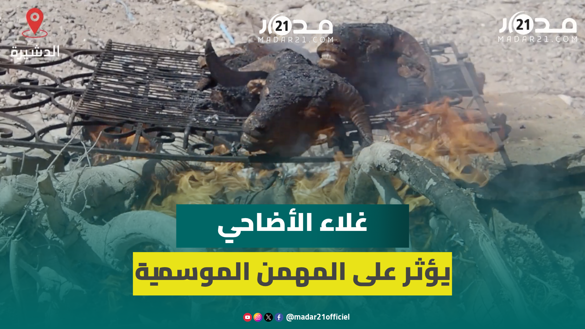 “تشواط الريوس” بالدشيرة.. انخفاض الإقبال على شي الرؤوس بعد امتناع أسر من شراء الأضحية بسبب الغلاء