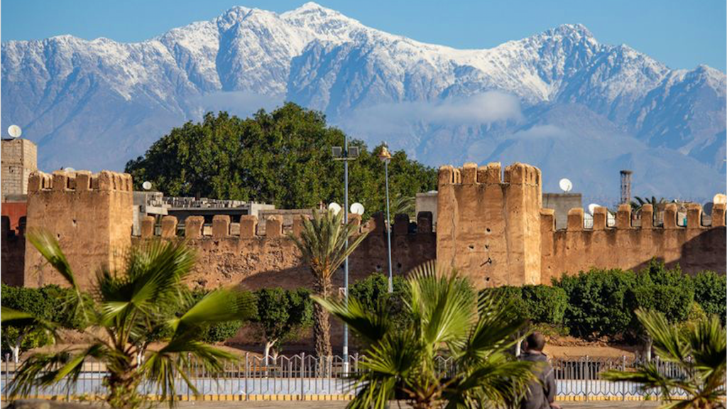 تارودانت.. تنظيم دورة تكوينية لتعزيز قدرات التعاونيات