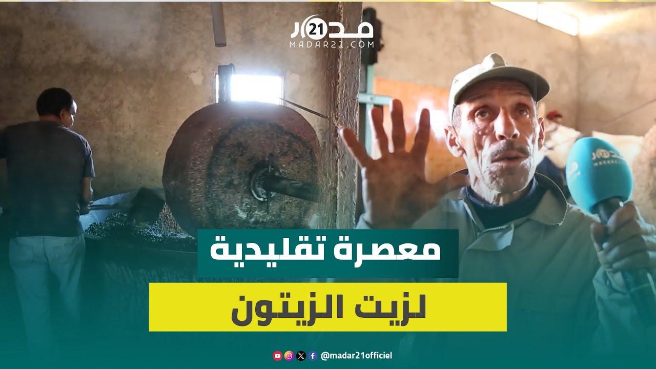 طقوس خاصة لعصر زيت الزيتون.. مهنيون يتشبثون بالطرق التقليدية لعصر الزيتون حفاظا على “المذاق الأصيل”