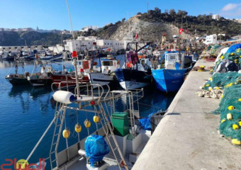 ارتفاع طفيف لمفرغات الصيد بميناء الحسيمة