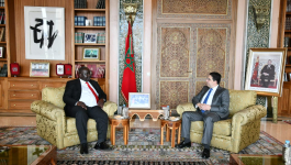 مسؤول مالاوي: الملك قاد المغرب لطفرة تنموية كبيرة