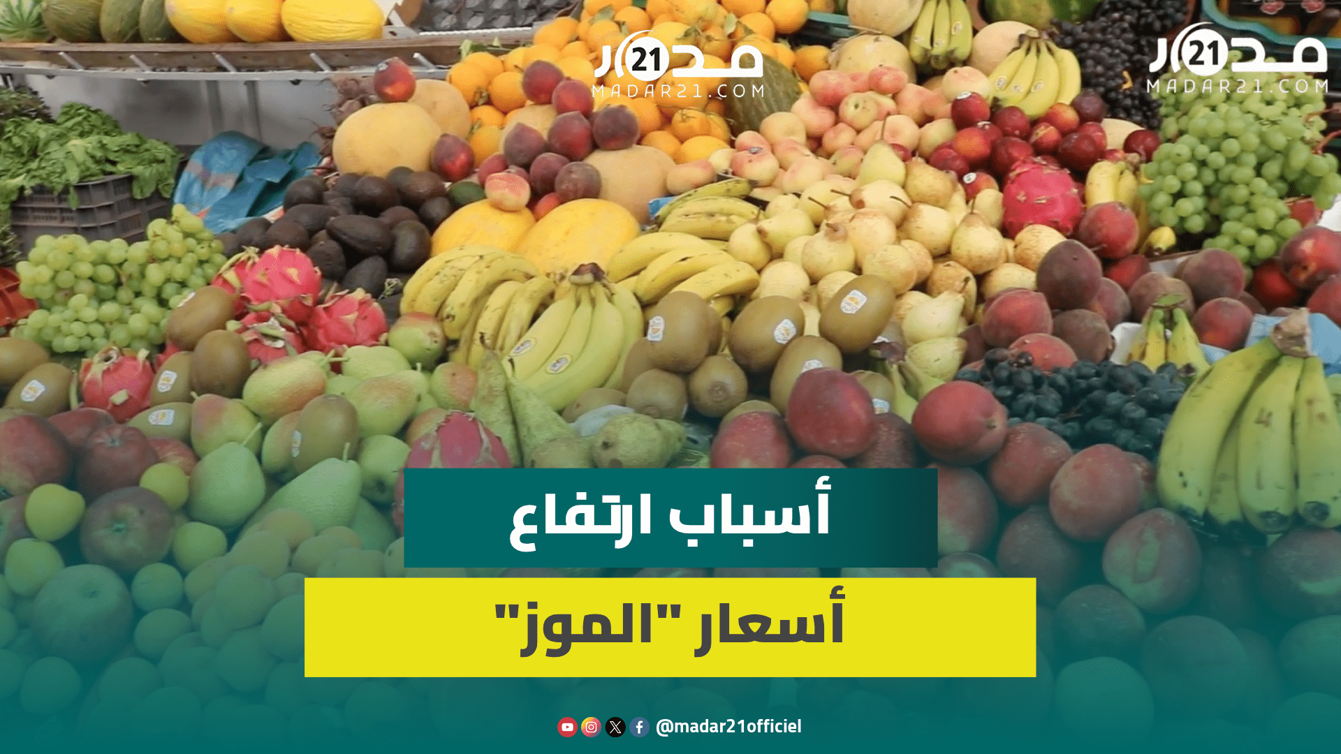 الجفاف/خرف أشجار الموز/ارتفاع درجات الحرارة.. هذه أبرز أسباب بلوغ أسعار الموز مستويات قياسية