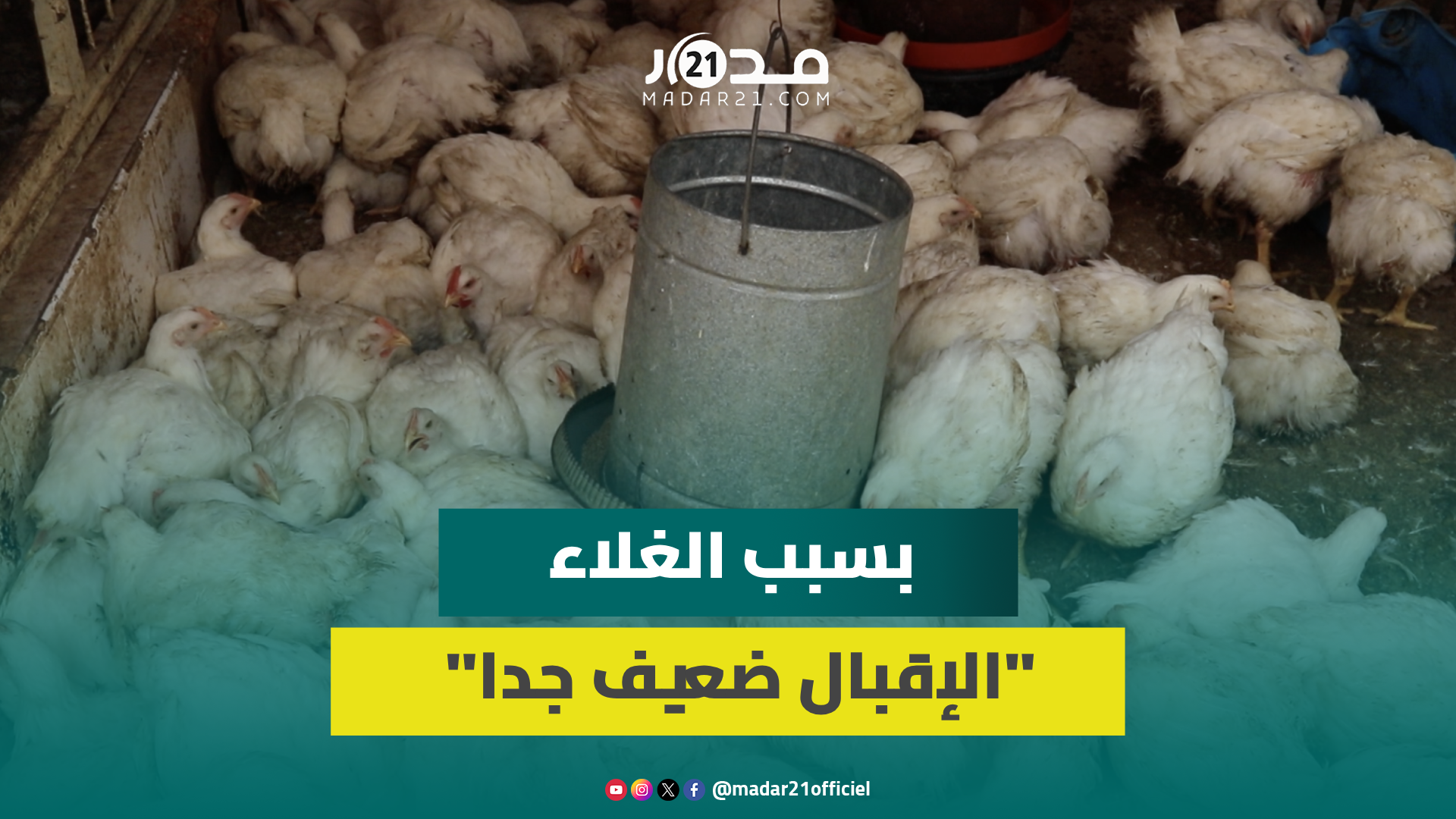 مكاينش الحفلات والمناسبات…مهنيو لحوم الدواجن بالجديدة يشكون الركود وضعف الإقبال