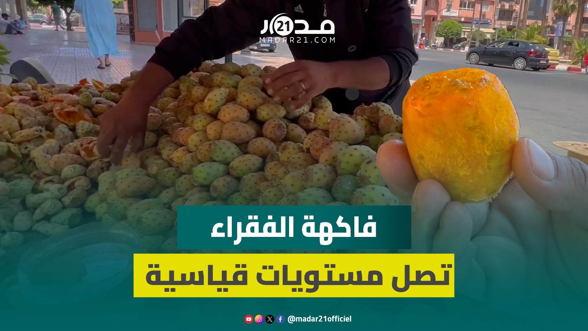 الهندية تصل مستويات قياسية من الغلاء.. فاكهة الفقراء تباع بـ4 دراهم للحبة الواحدة