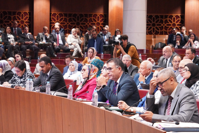 المعارضة 13 عاجل/ تفاصيل طلب فرق المعارضة لتقصي الحقائق حول موضوع الأدوية