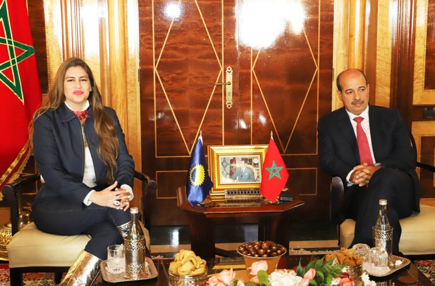 رئيسة البرلمان الأنديني تشيد بتقدم المغرب في الطاقات المتجددة