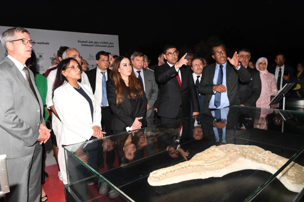 هُربت بطريقة غير شرعية.. المغرب يعرض مستحاثات أثرية مسترجعة
