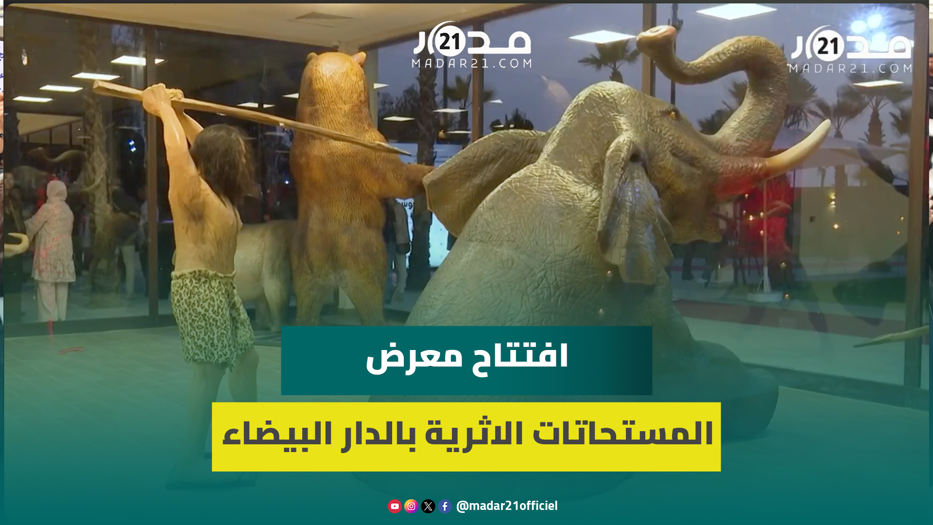 هُربت بطريقة غير شرعية.. المغرب يعرض مستحاثات أثرية مسترجعة