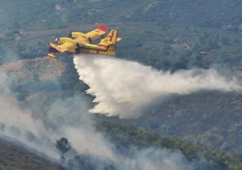 حريق يلتهم 30 هكتارا بغابة بورد بإقليم تازة