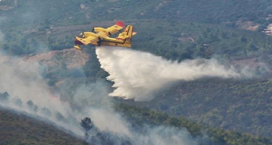حريق يلتهم 30 هكتارا بغابة بورد بإقليم تازة