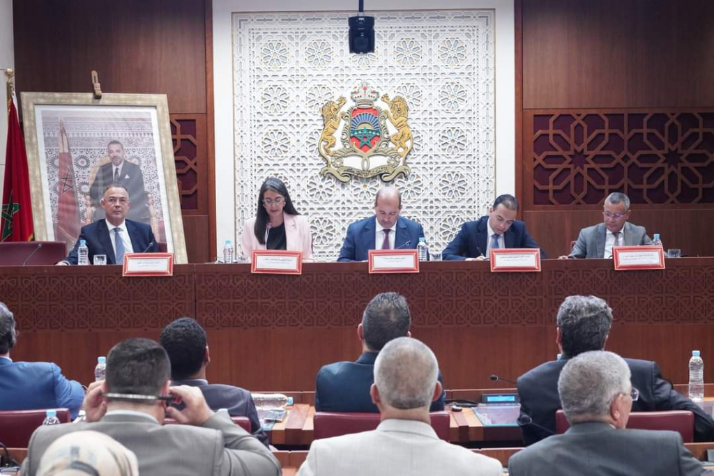 التصريح بغياب الدخل للاستفادة من الدعم يُفقِد المغرب آلاف المقاولين الذاتيين