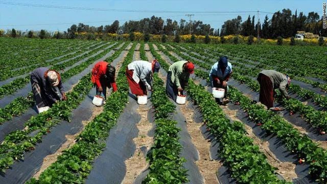 الجبهة: الفلاح السوسي تأقلم مع نقص الماء واشتوكة تحافظ على الأمن الغدائي للمغاربة